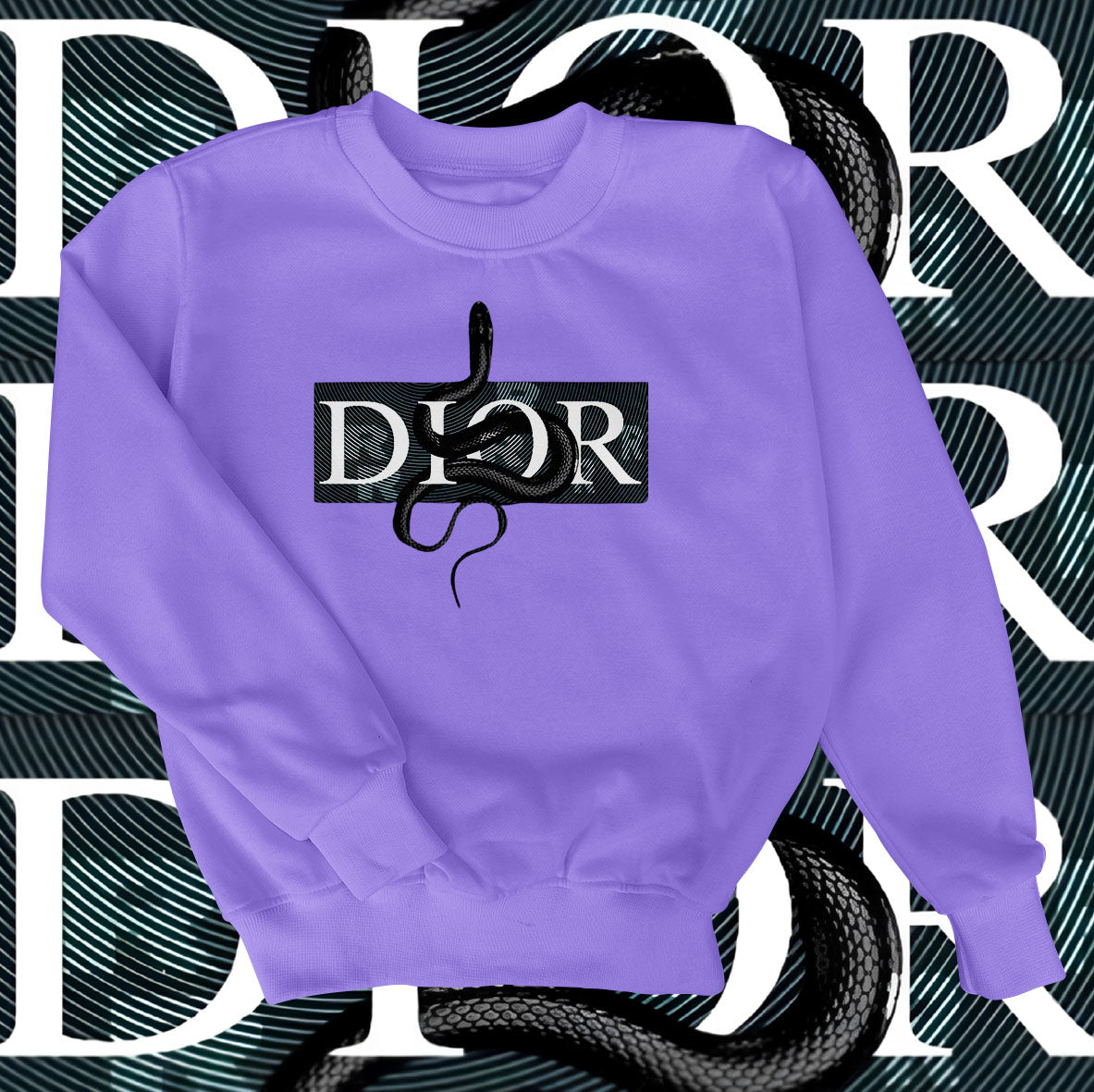 Dior Snake Sweatshirt