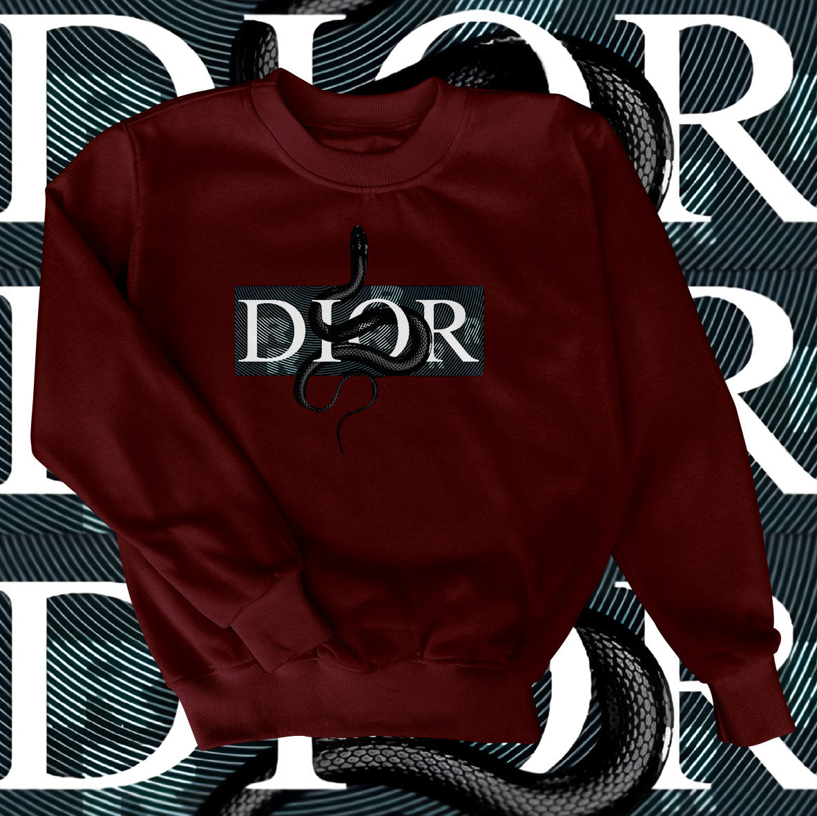 Dior Snake Sweatshirt