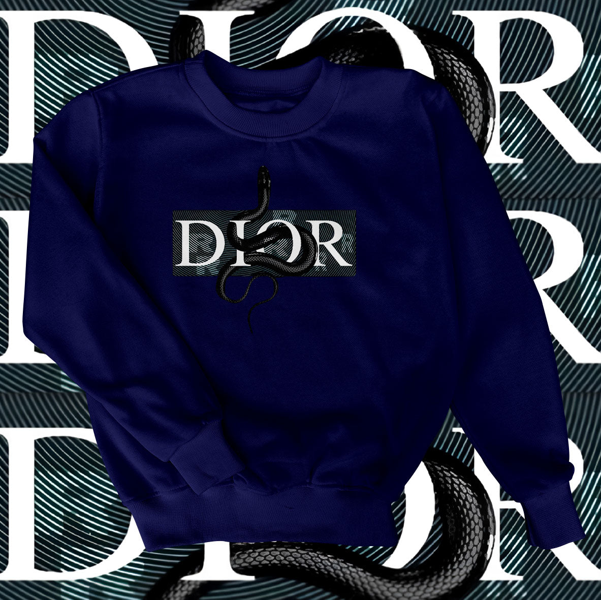 Dior Snake Sweatshirt