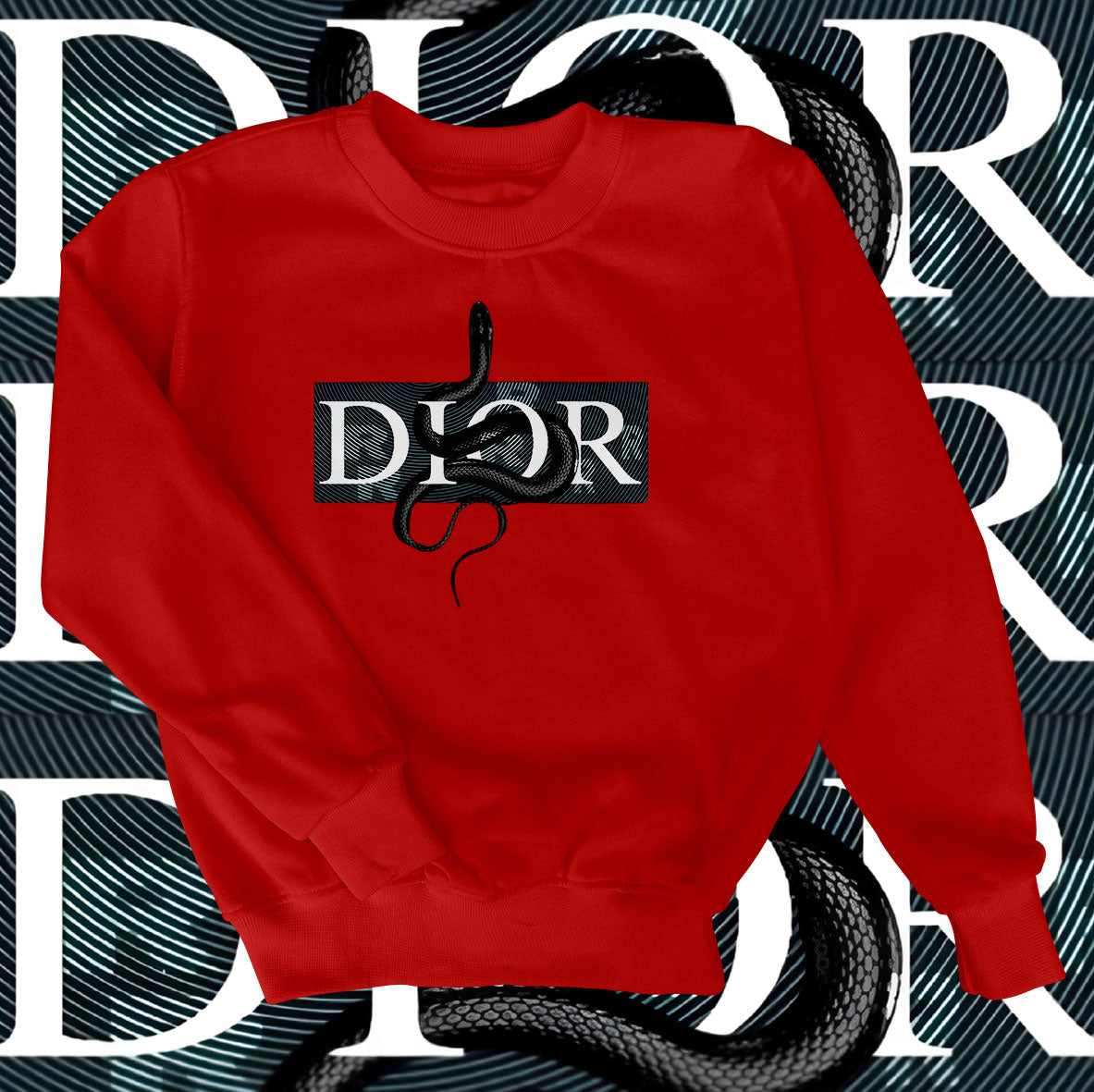 Dior Snake Sweatshirt