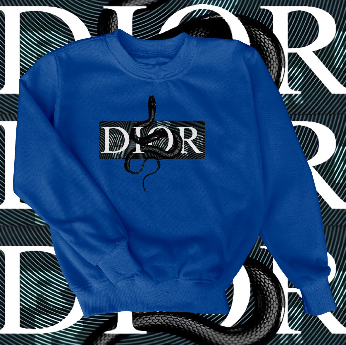 Dior Snake Sweatshirt