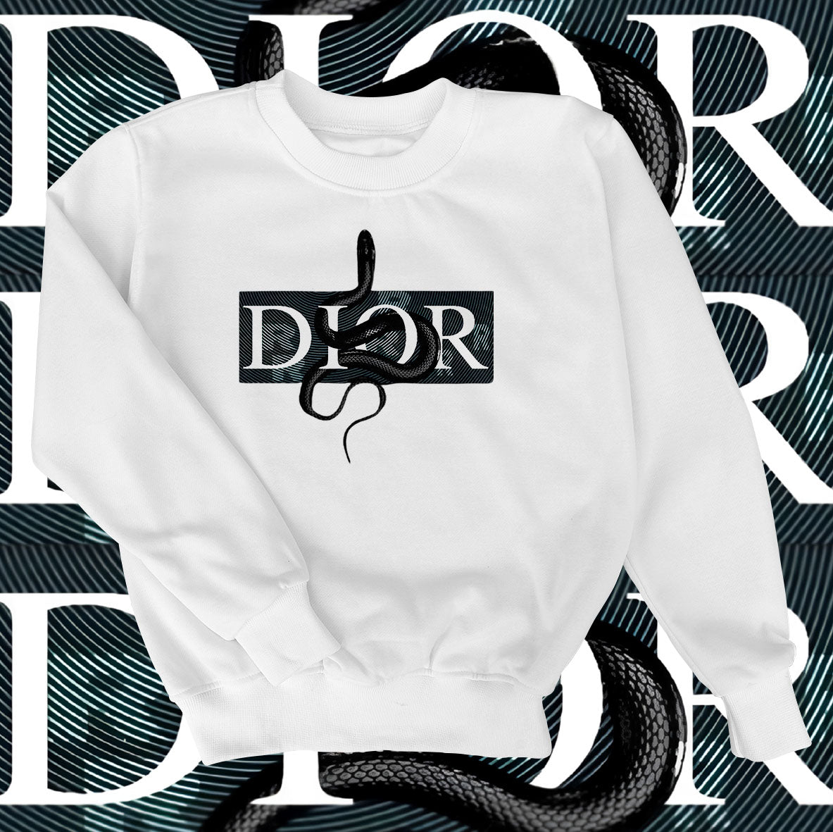 Dior Snake Sweatshirt