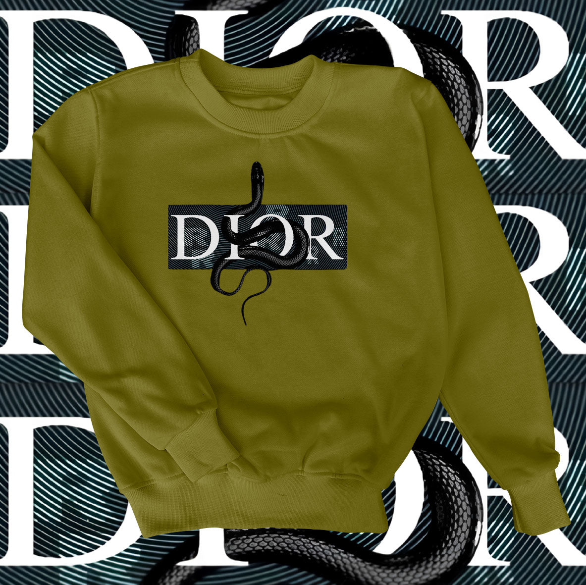 Dior Snake Sweatshirt