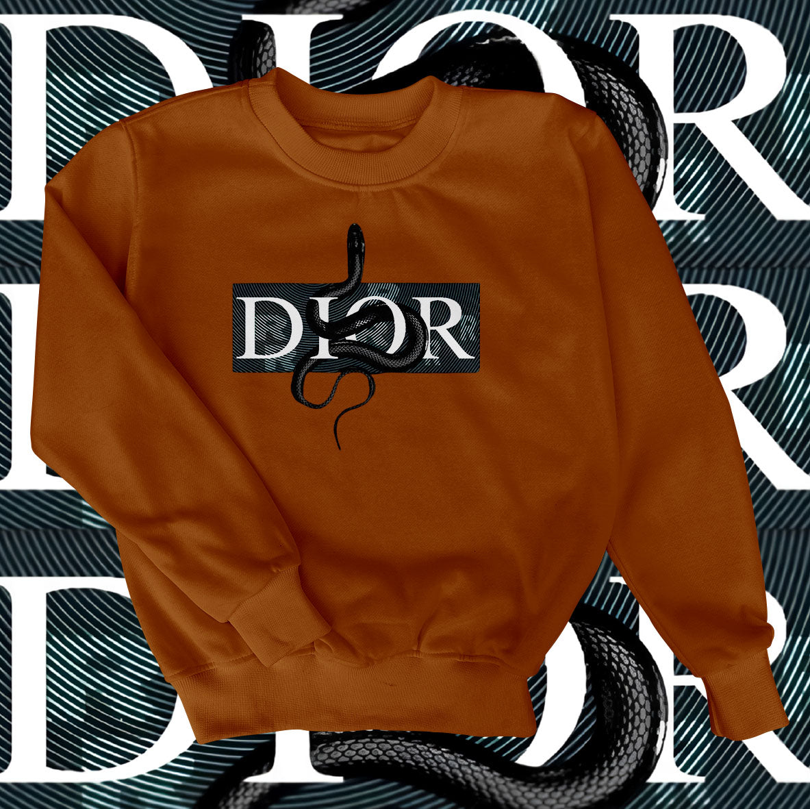 Dior Snake Sweatshirt
