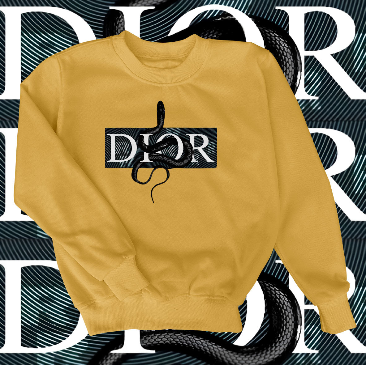 Dior Snake Sweatshirt