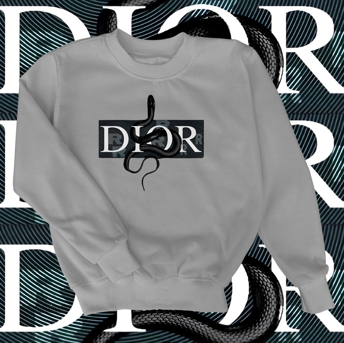 Dior Snake Sweatshirt