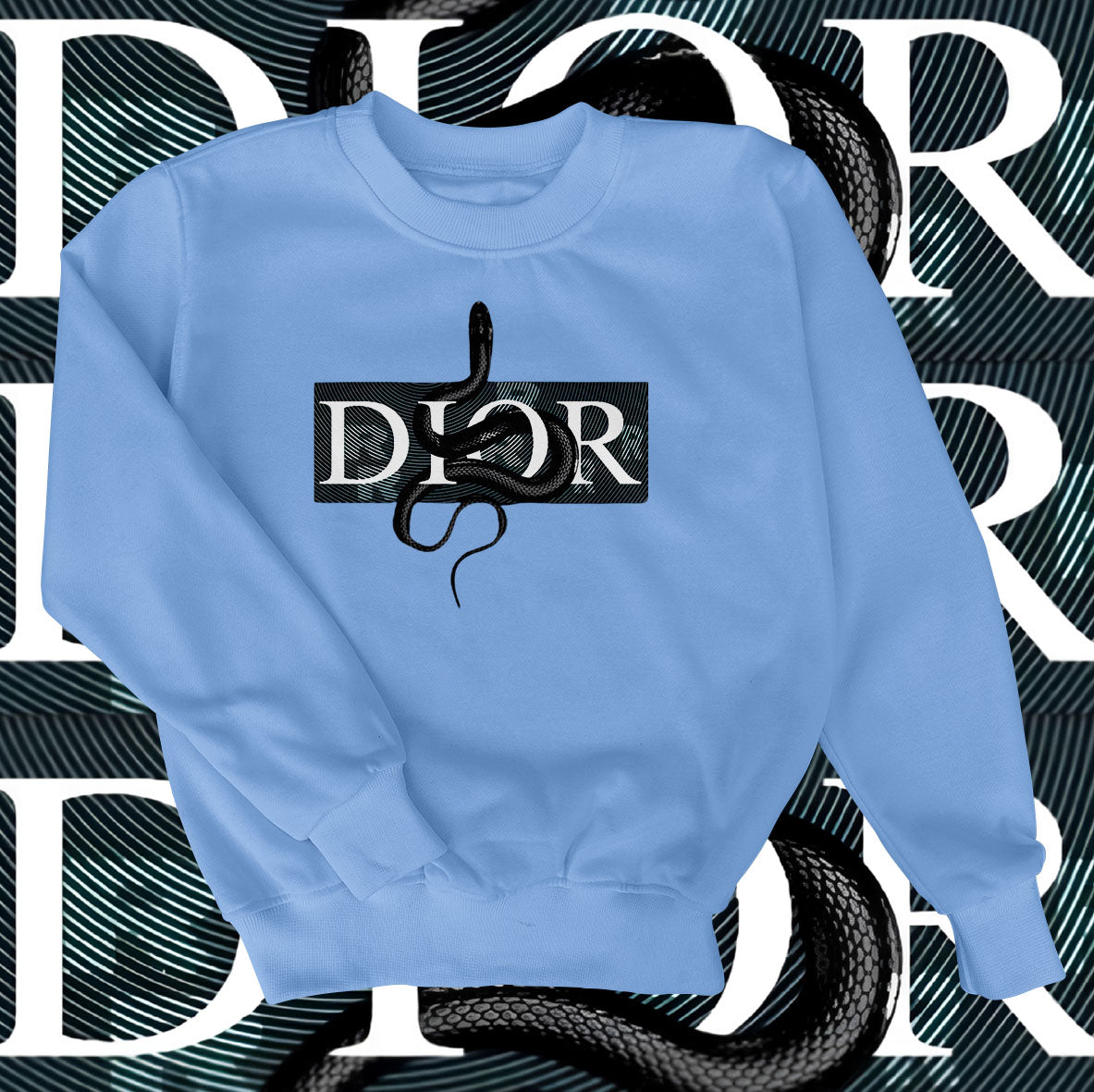 Dior Snake Sweatshirt