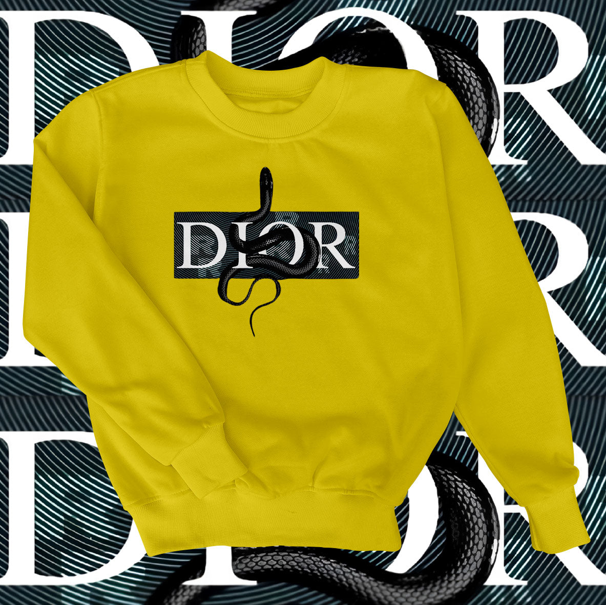Dior Snake Sweatshirt