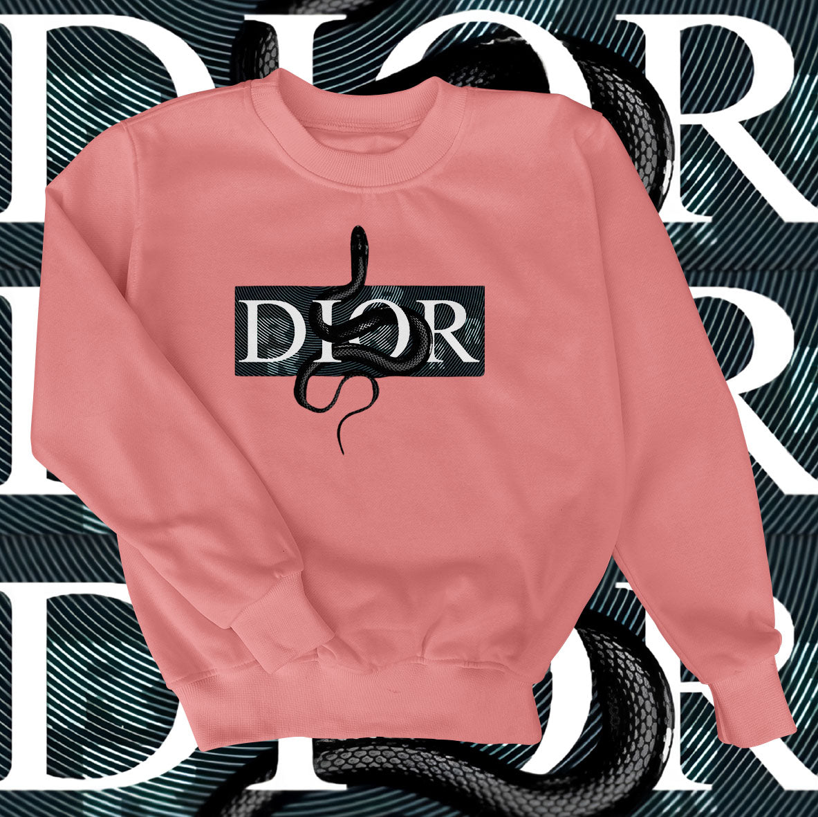 Dior Snake Sweatshirt