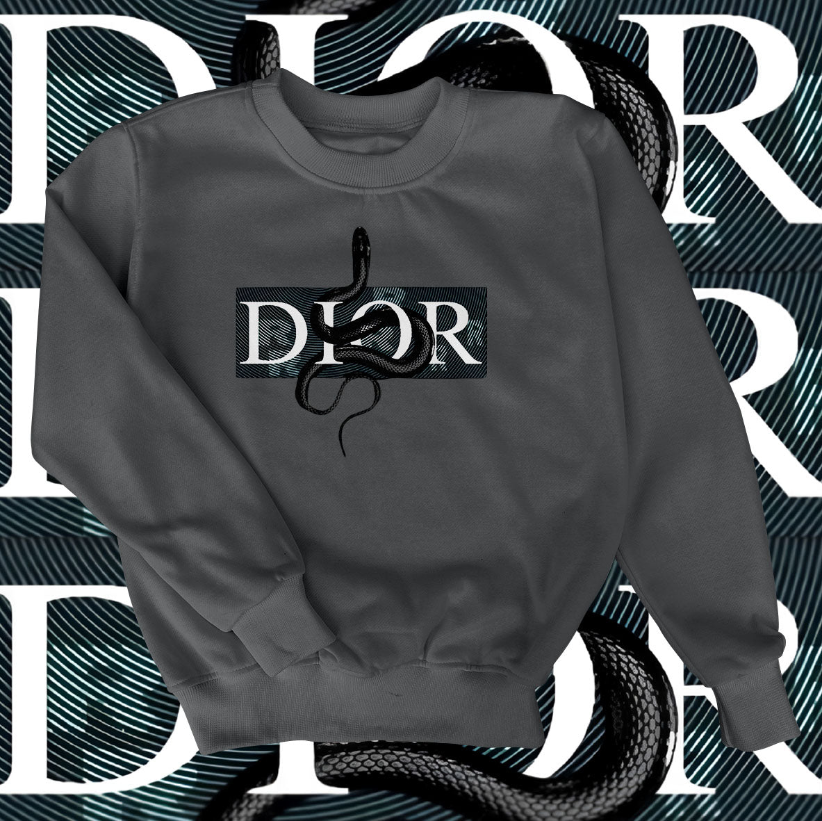 Dior Snake Sweatshirt